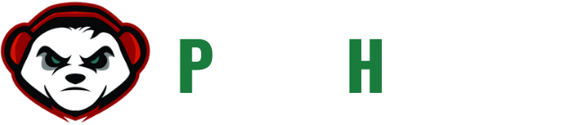 Pandaheadset – China First 7-Day Delivery Headset Factory